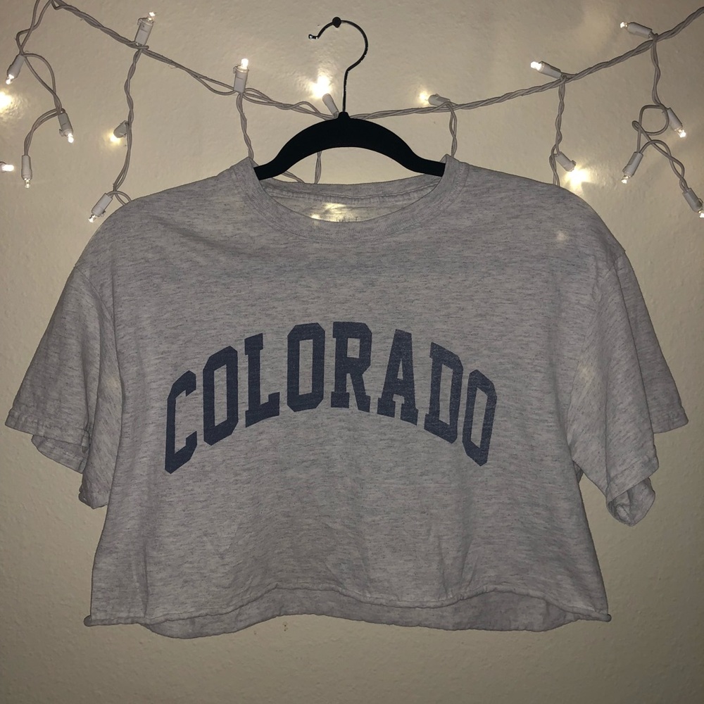 Brandy Melville Colorado Crop Tee
